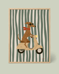 Dog On A Vespa Poster
